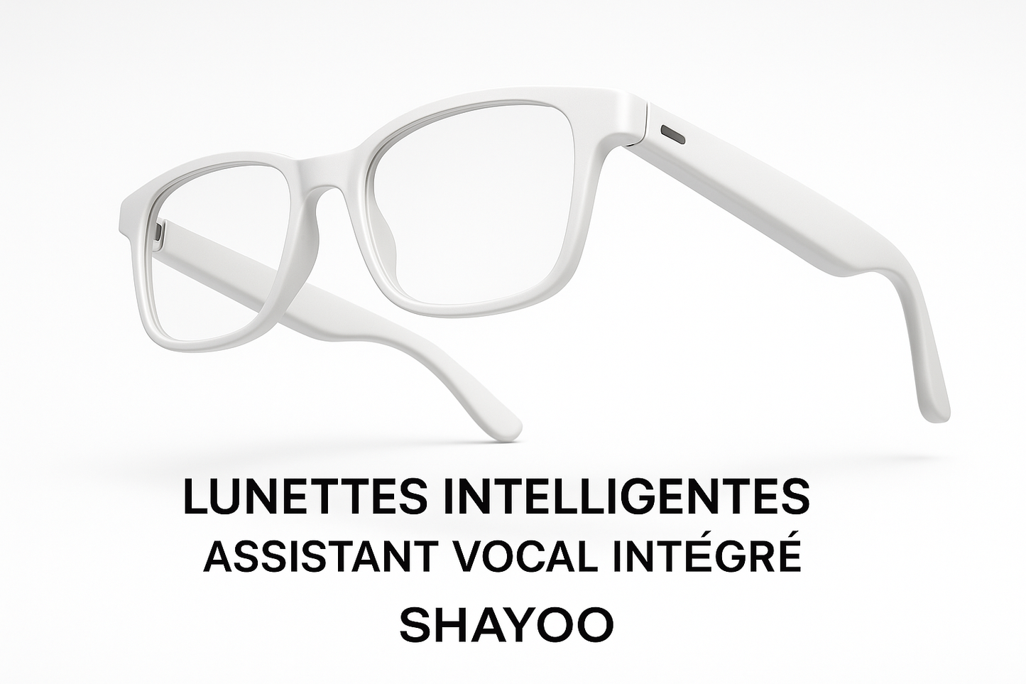 Lunettes W-WH avec texte français